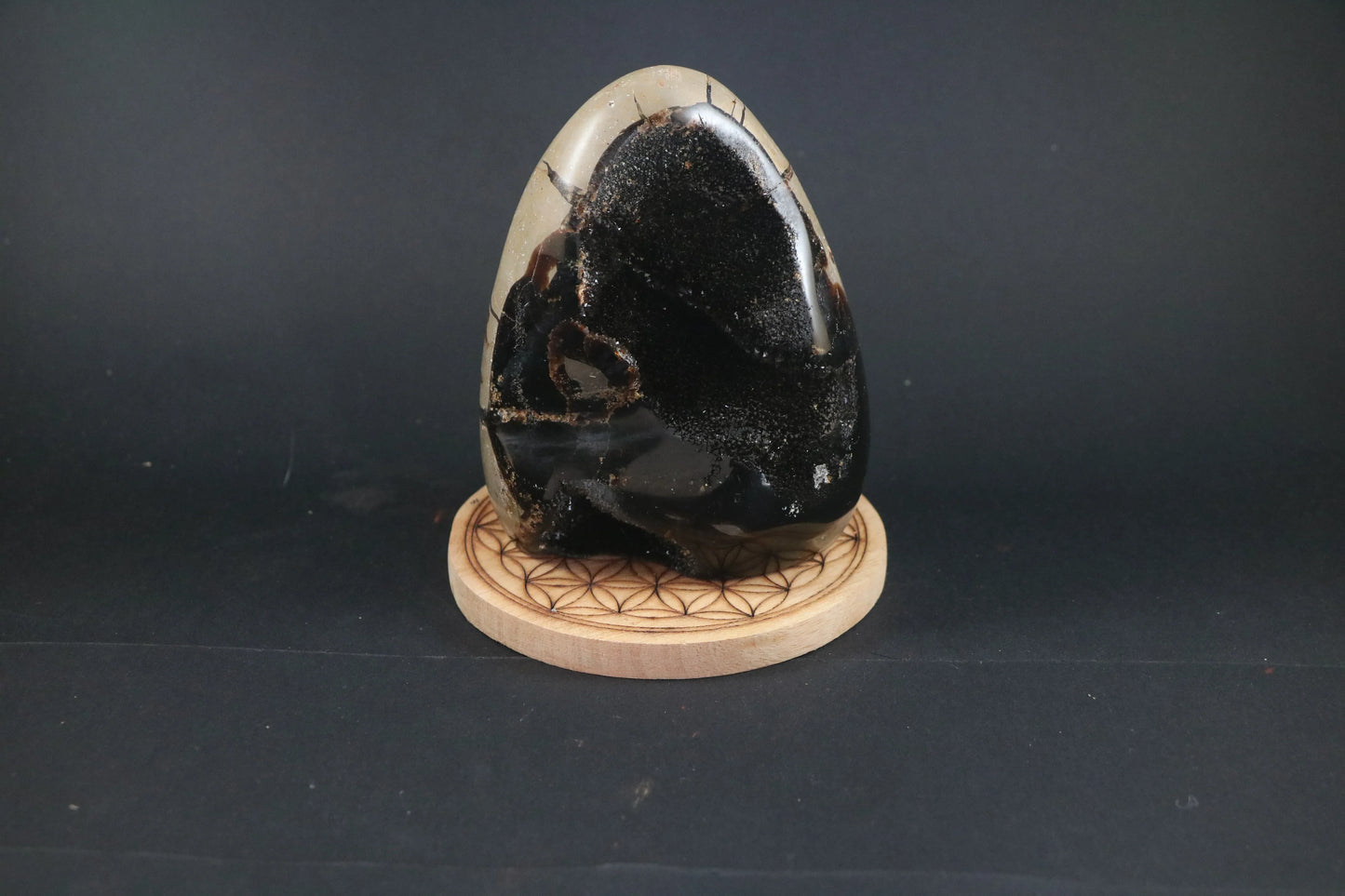 Oeuf de Septaria sauvage 804g - Pierres de Terre Happy