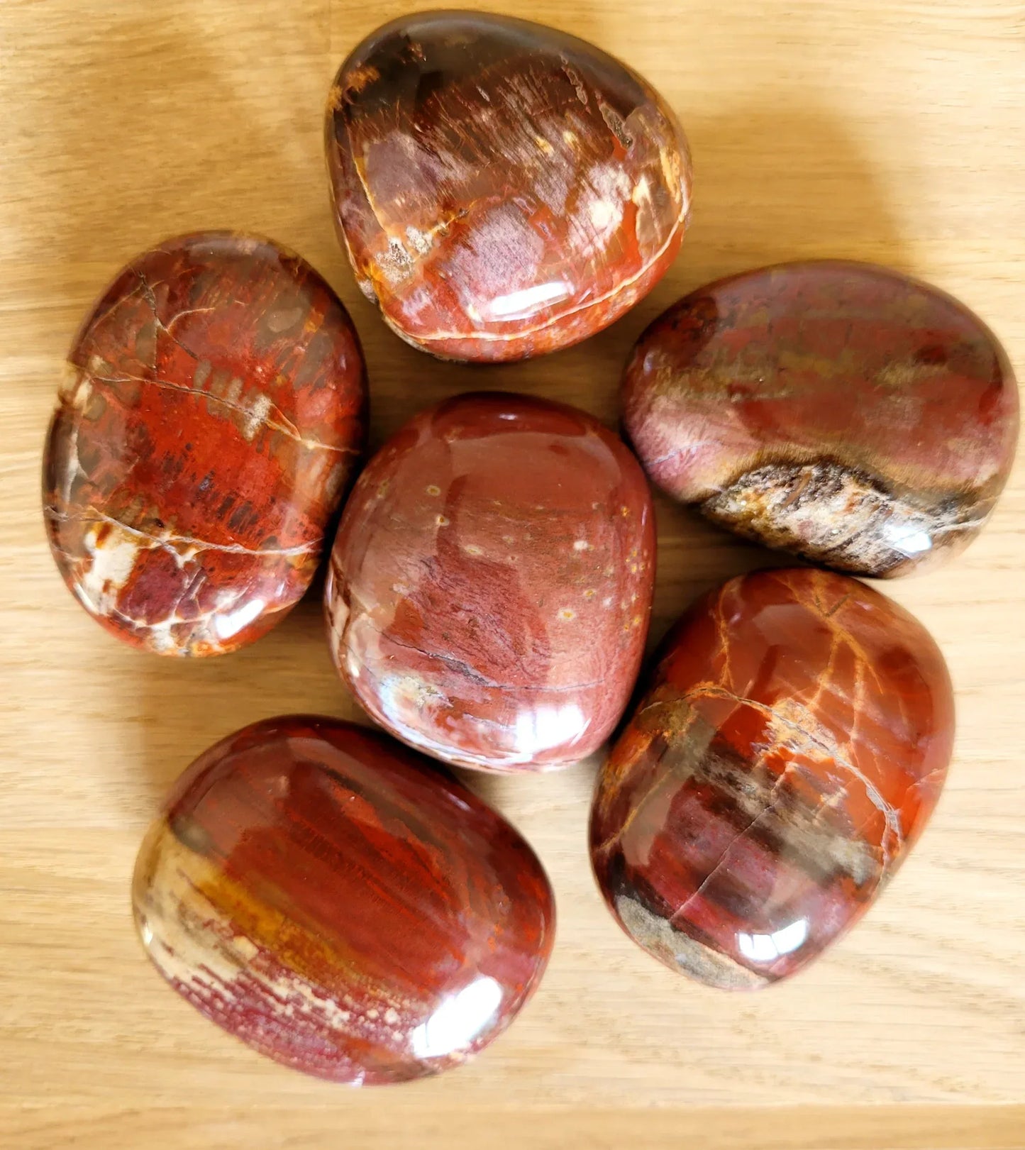Galet en Bois Fossile 100g - Pierres de Terre Happy