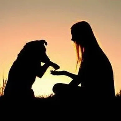 Communication animale - Pierres de Terre Happy