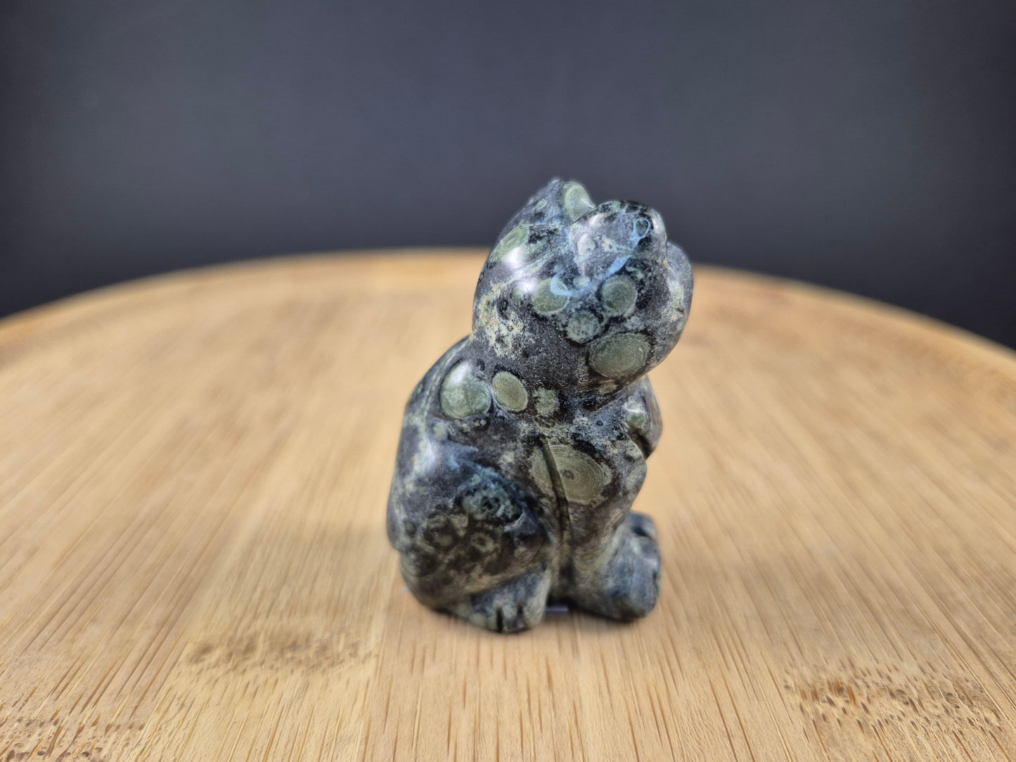 Chat en Jaspe Kambaba