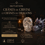 Initiation crânes de cristal et crânes de dragon