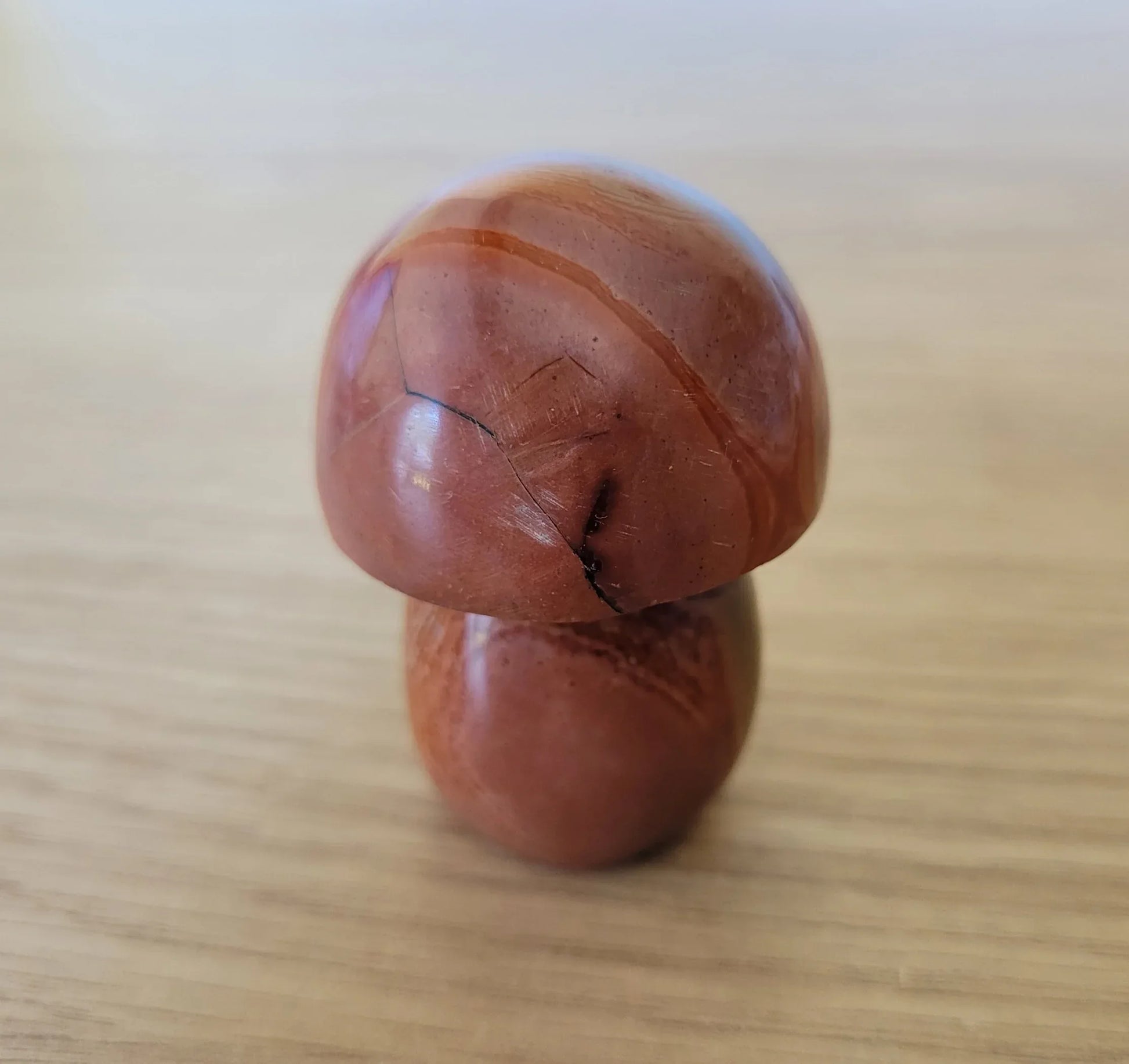 Champignon en Jaspe polychrome 2 - Pierres de Terre Happy