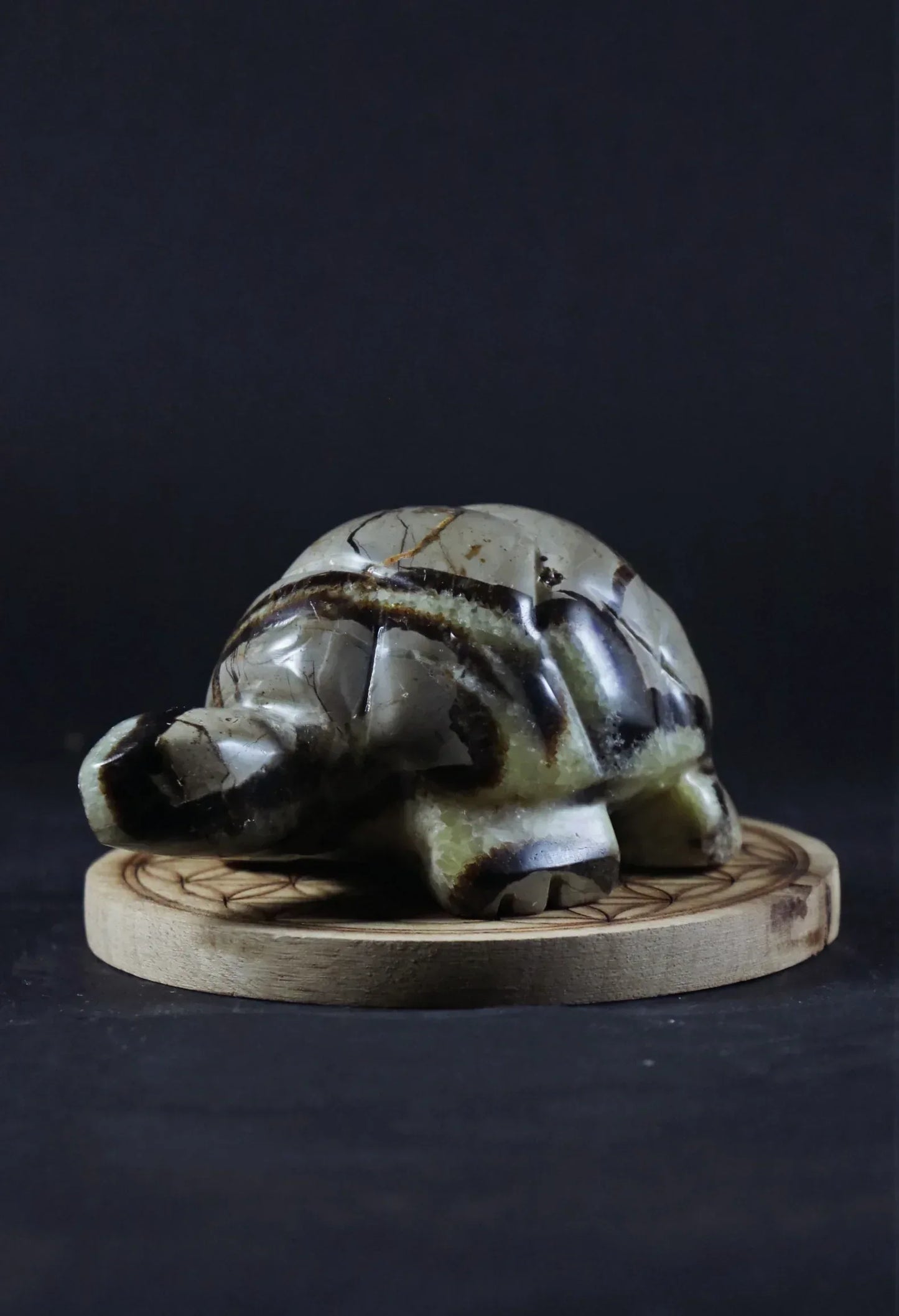 Tortue en Septaria - Pierres de Terre Happy