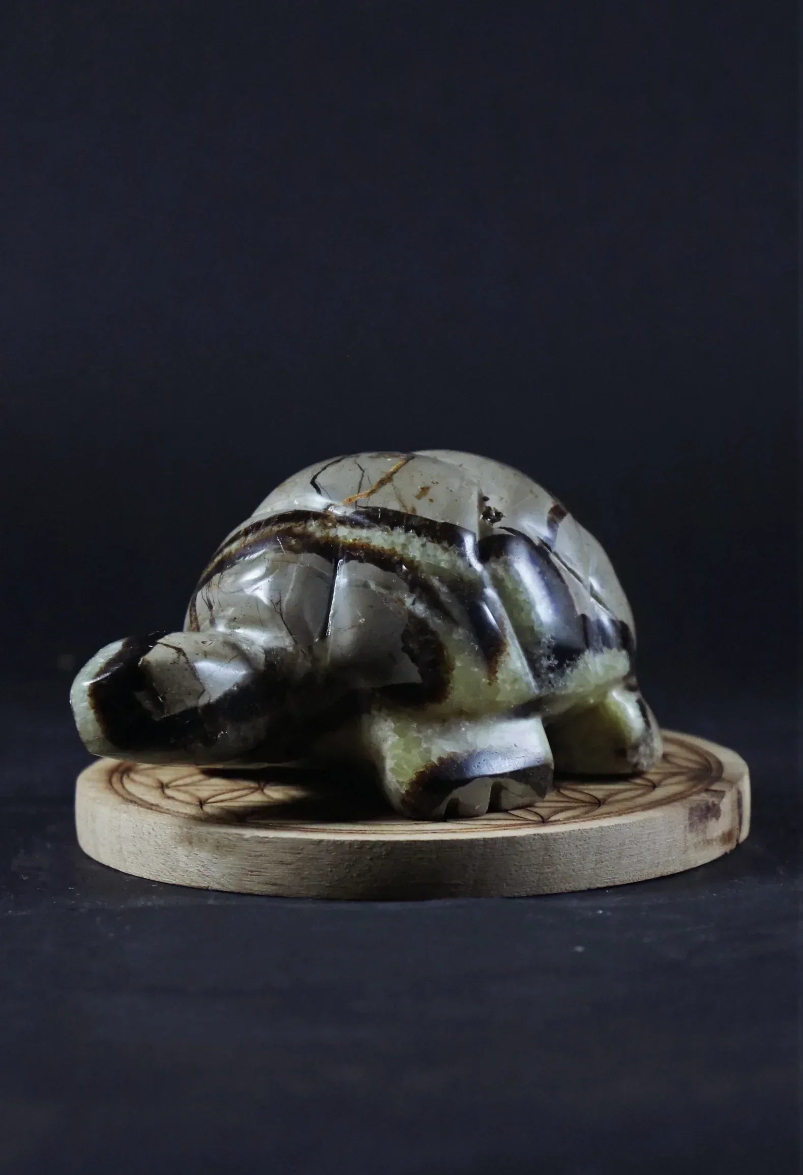 Tortue en Septaria - Pierres de Terre Happy