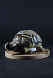 Tortue en Septaria - Pierres de Terre Happy