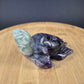 Tortue marine en Fluorine