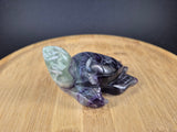 Tortue marine en Fluorine