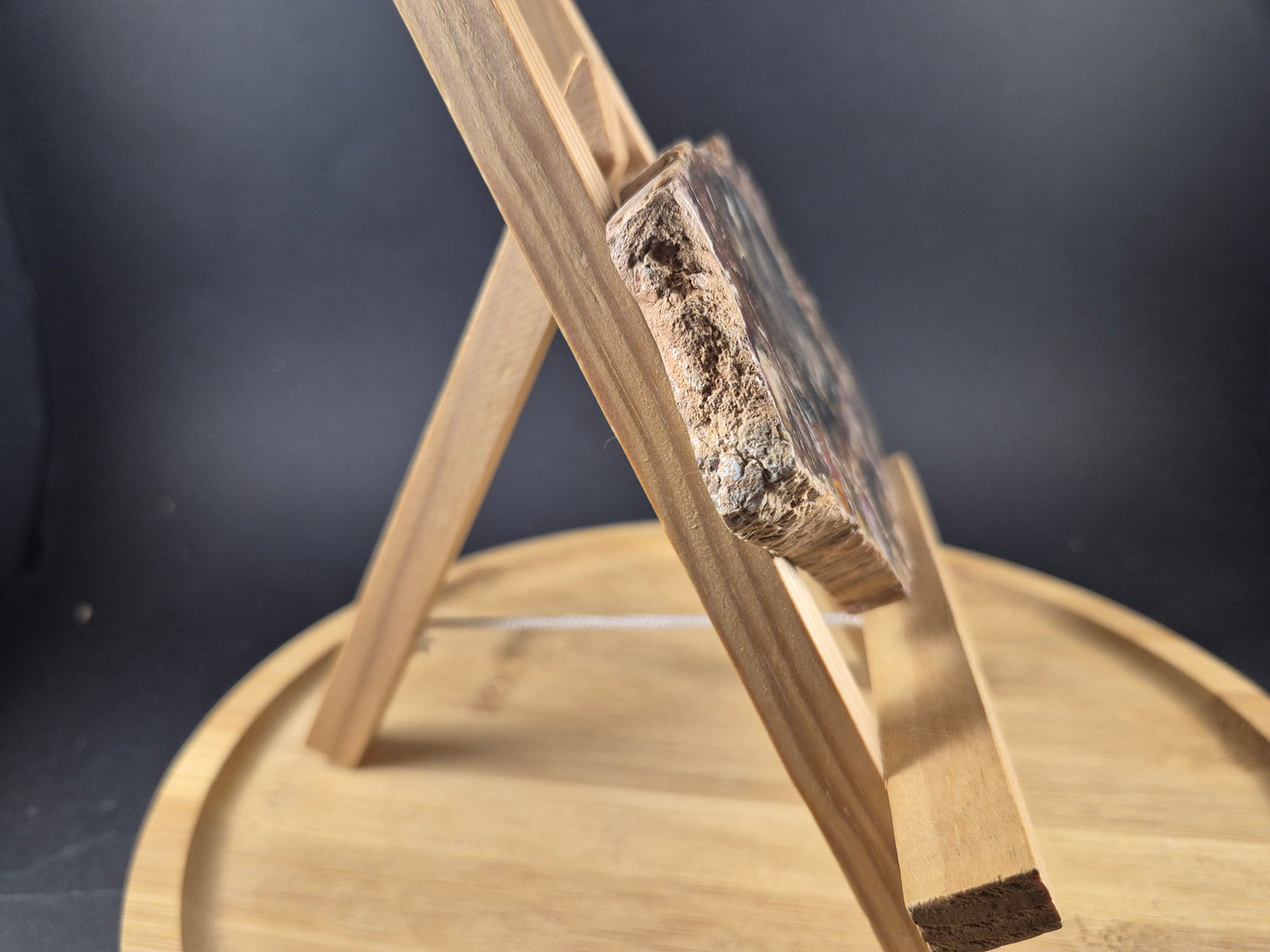 Tranche de Bois Fossile