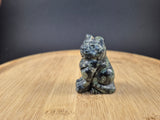 Chat en Jaspe Kambaba