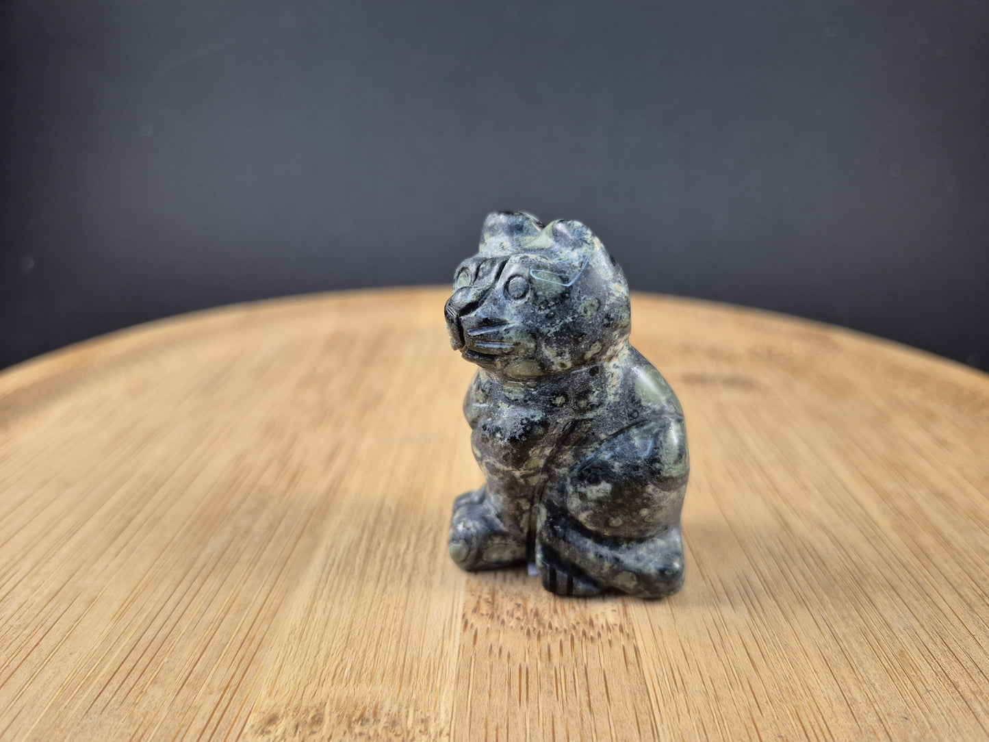 Chat en Jaspe Kambaba