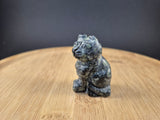 Chat en Jaspe Kambaba