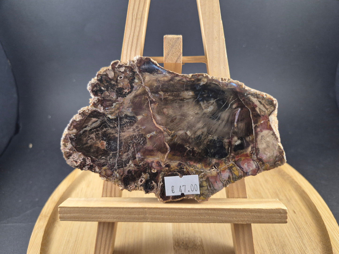 Tranche de Bois Fossile